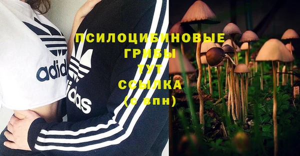 ALPHA-PVP Касимов