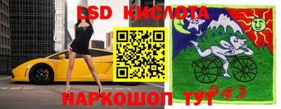 mdpv Камышлов