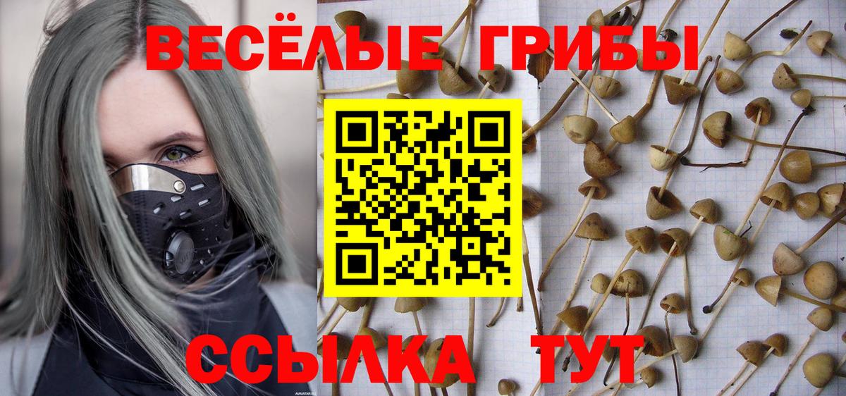 Галлюциногенные грибы Cubensis  как найти закладки  Вход с VPN  Электросталь  Псилоцибиновые грибы Psilocybine cubensis 