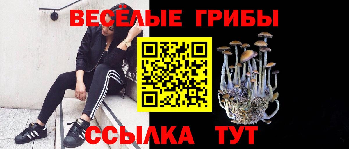 Галлюциногенные грибы Magic Shrooms Электросталь
